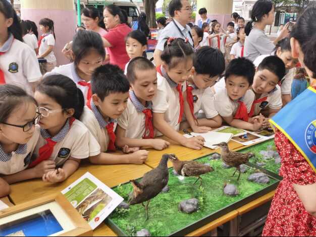 科普进校园 科学伴成长宣传报道(1)(1)964.png